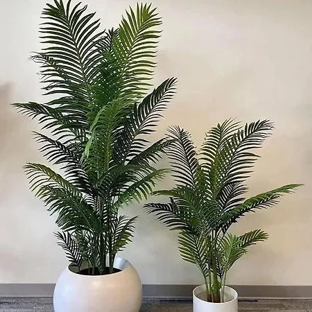Twins Burrel